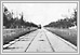  Broadway Avenue looking west. 1900 02-112 Tribune Pictures UofM Special Archives